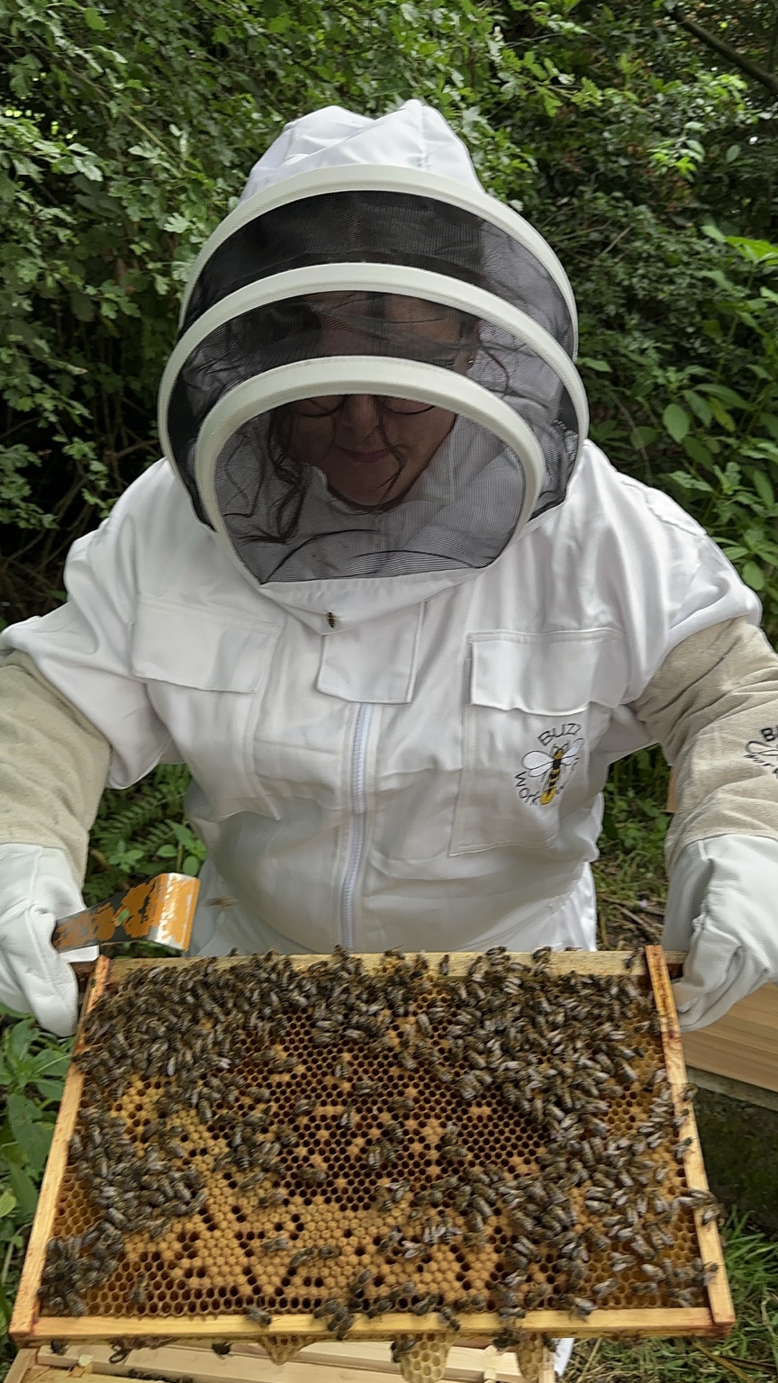Beekeeper holding a frame of bees
